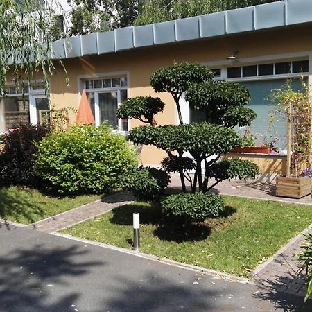 Fewo 2 Dresda Exterior foto
